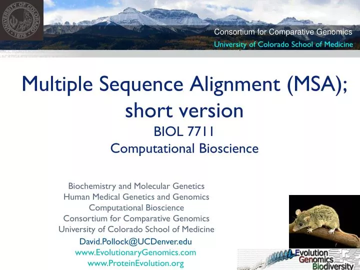 multiple sequence alignment msa short version biol 7711 computational bioscience