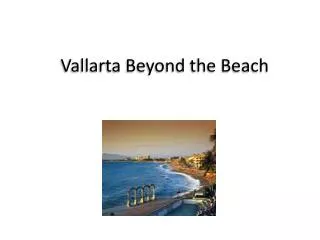 Vallarta Beyond the Beach
