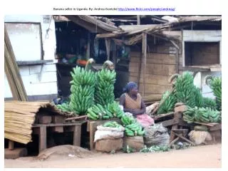 Banana seller in Uganda. By : Andrea Goetzke flickr/people/andreag/