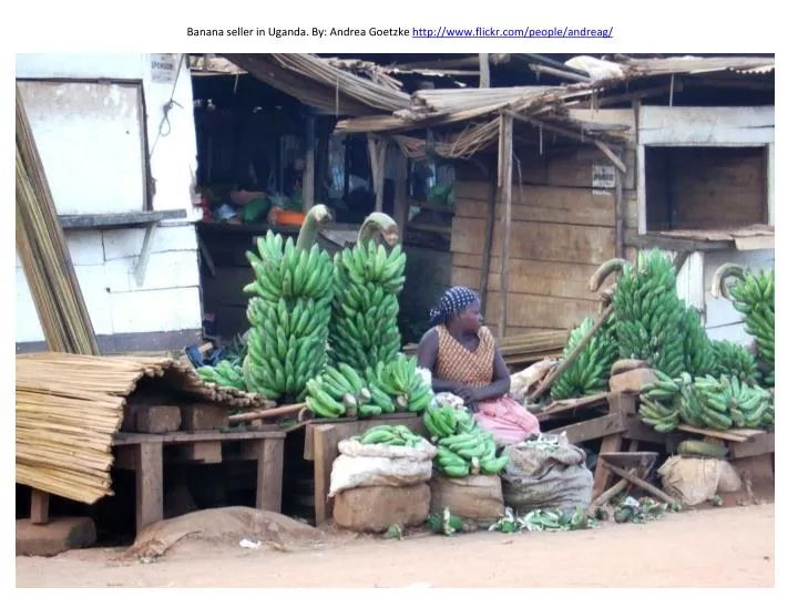banana seller in uganda by andrea goetzke http www flickr com people andreag