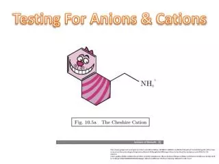 Testing For Anions &amp; Cations