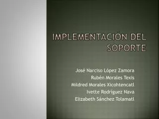 implementaci n del soporte