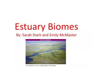 Estuary Biomes By: Sarah Stark and Emily McMaster