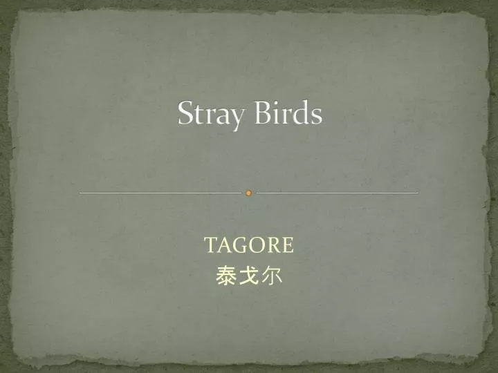 stray birds
