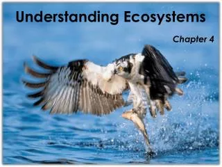 Understanding Ecosystems