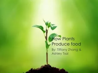 How Plants Produce food