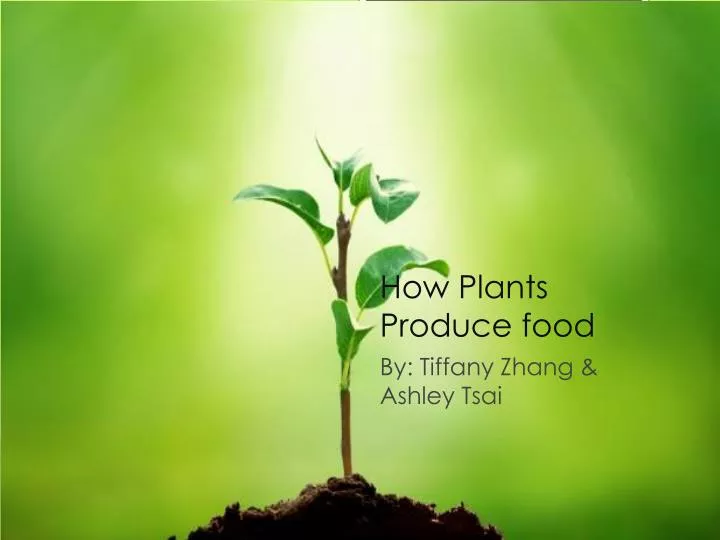 how plants produce food