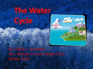 The Water Cycle