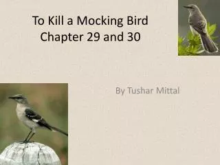 To Kill a Mocking Bird Chapter 29 and 30