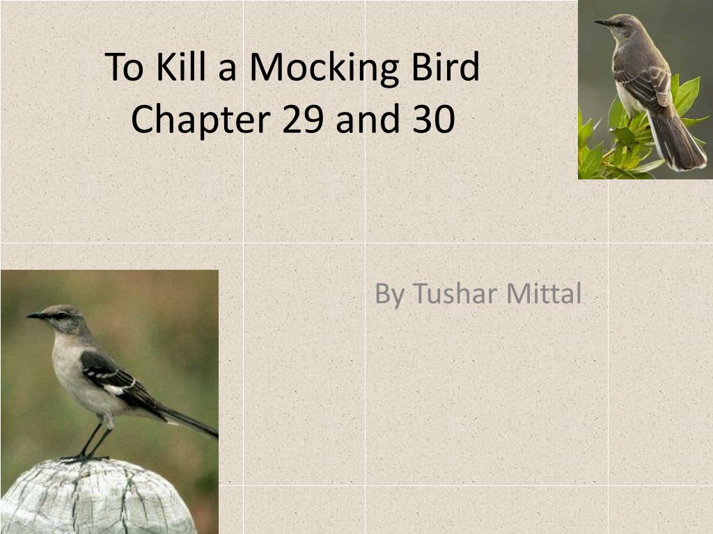 PPT - To Kill a Mocking Bird Chapter 29 and 30 PowerPoint Presentation ...