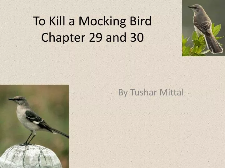 to kill a mocking bird chapter 29 and 30