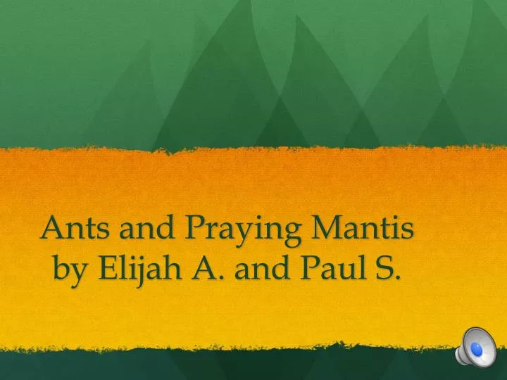 ants and praying mantis by elijah a and paul s