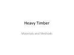 Heavy Timber - slide 1