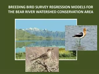 BREEDING BIRD SURVEY REGRESSION MODELS FOR THE BEAR RIVER WATERSHED CONSERVATION AREA