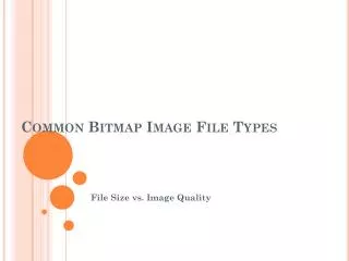 common bitmap image file types