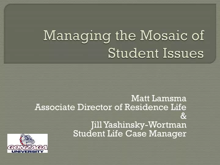 managing the mosaic of student issues