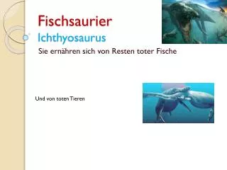 Fischsaurier Ichthyosaurus