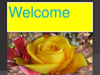 Welcome