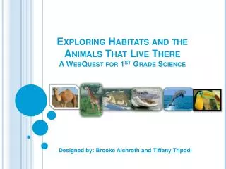 Exploring Habitats and the Animals T hat Live There A WebQuest for 1 st Grade Science