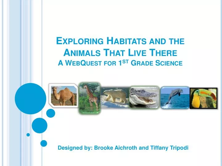 exploring habitats and the animals t hat live there a webquest for 1 st grade science