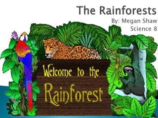 The Rainforests