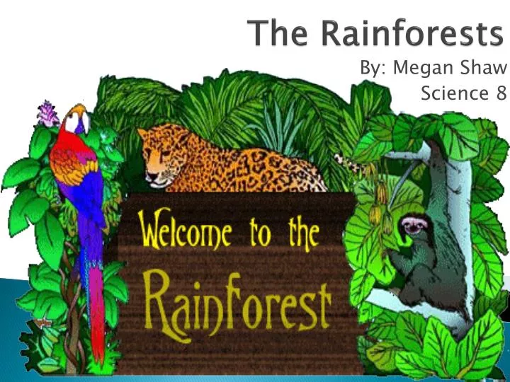 the rainforests