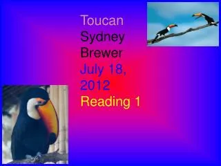 Toucan Sydney Brewer July 18, 2012 Reading 1