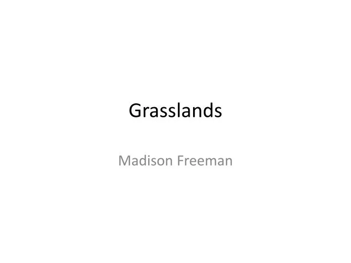 grasslands