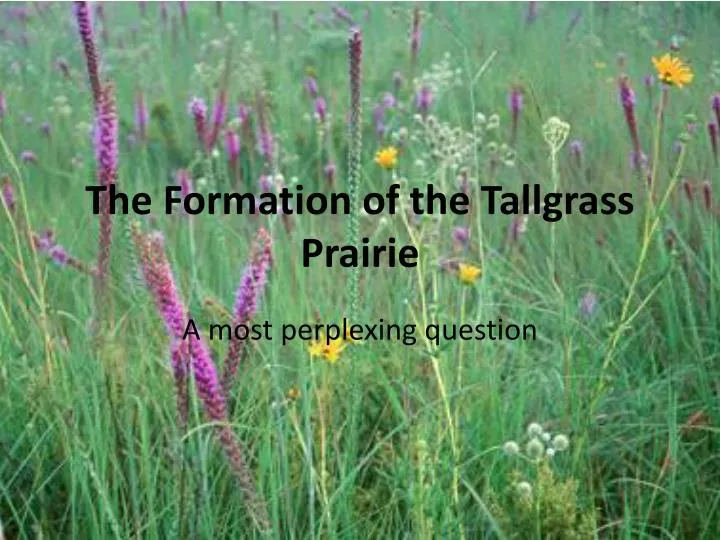 the formation of the tallgrass prairie