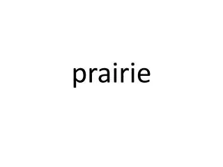 prairie