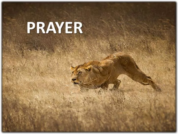 prayer