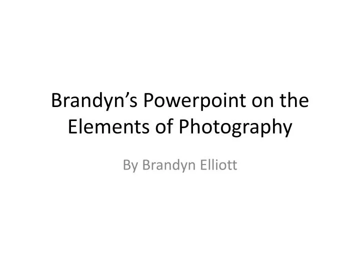 brandyn s powerpoint on the elements of photography