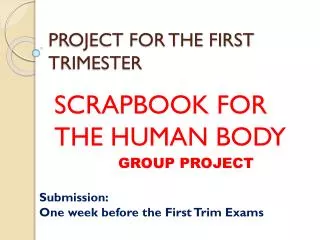 PROJECT FOR THE FIRST TRIMESTER
