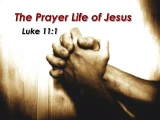 the prayer life of jesus