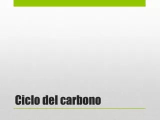 ciclo del carbono