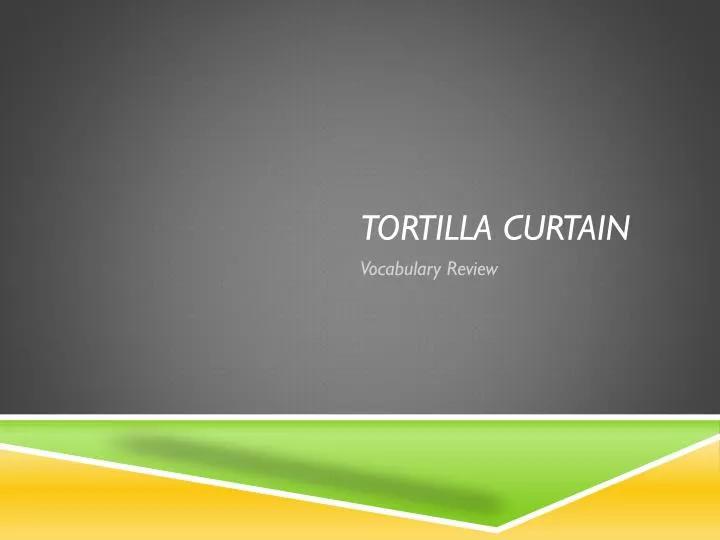 tortilla curtain