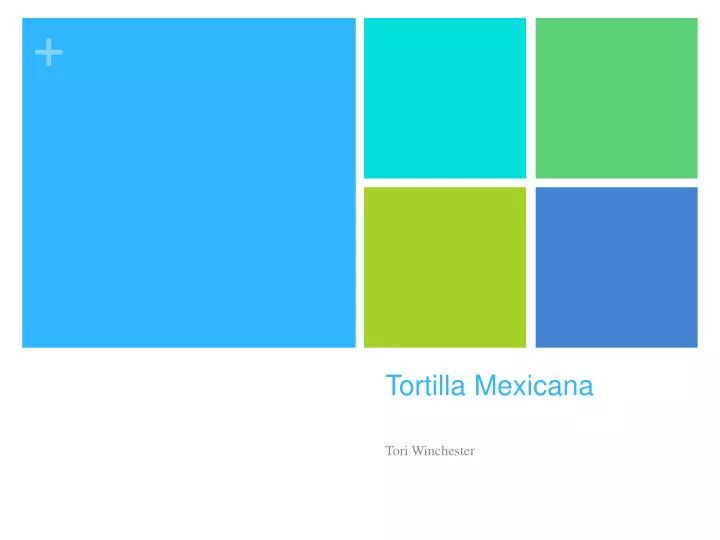 tortilla mexicana