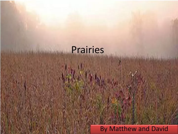 prairies