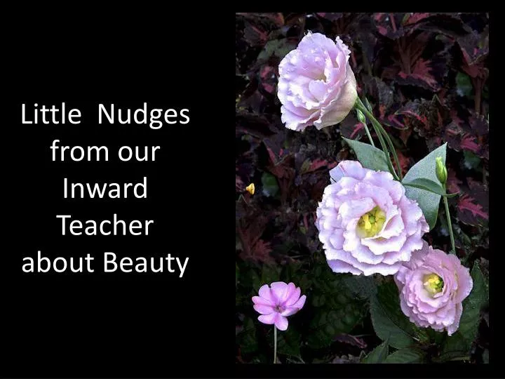 little nudges from our inward teacher about beauty