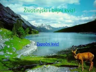 ivotinjski i biljni kviz