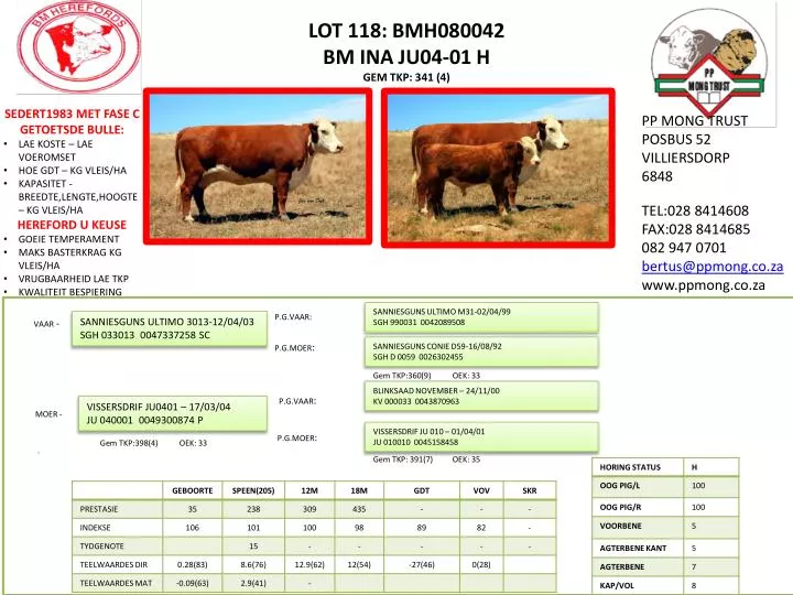 lot 118 bmh080042 bm ina ju04 01 h gem tkp 341 4