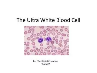 The Ultra White Blood Cell