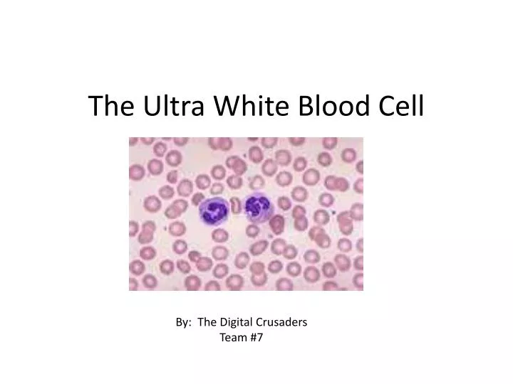 the ultra white blood cell