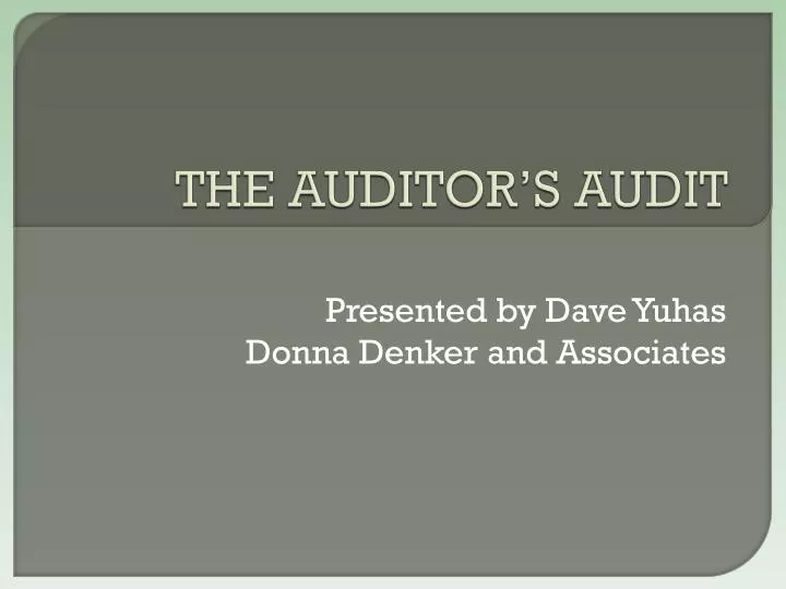 the auditor s audit
