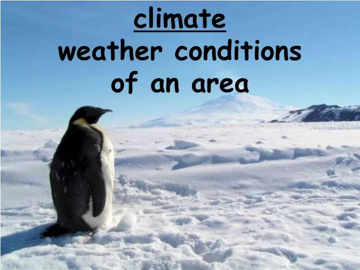 climate weather conditions of an area