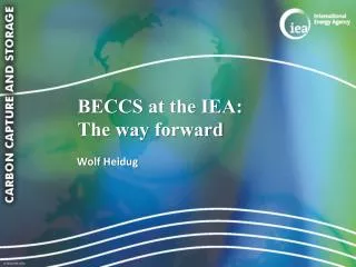 BECCS at the IEA: The way forward