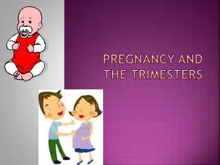 Pregnancy and the Trimesters