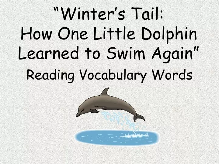 winter s tail how one little dolphin learned to swim again