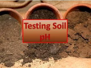 Testing Soil pH