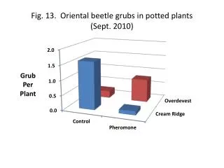 Fig. 13. Oriental beetle grubs in potted plants ( Sept. 2010 )